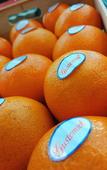 Туры в отель Hotel Libera Restaurant & Spa Caen-Colombelles Туры в отель Hotel Libera Restaurant & Spa Caen-Colombelles