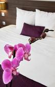 Туры в отель Hotel Libera Restaurant & Spa Caen-Colombelles Туры в отель Hotel Libera Restaurant & Spa Caen-Colombelles