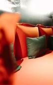 Туры в отель ibis Alencon Туры в отель ibis Alencon