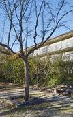 Туры в отель Campanile NATURE - Aix En Provence Meyreuil Туры в отель Campanile NATURE - Aix En Provence Meyreuil
