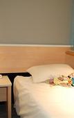 Туры в отель ibis Auray Туры в отель ibis Auray