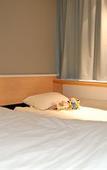Туры в отель ibis Auray Туры в отель ibis Auray