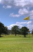 Туры в отель Golf de St Samson Туры в отель Golf de St Samson