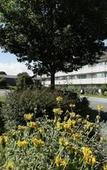 Туры в отель Brit Hotel Confort Dinan Taden Туры в отель Brit Hotel Confort Dinan Taden