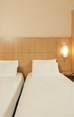 Туры в отель ibis Vitre Centre Туры в отель ibis Vitre Centre