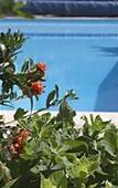 Туры в отель Chateau & Spa de la Commanderie Туры в отель Chateau & Spa de la Commanderie