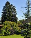 Туры в отель La Verniaz et ses Chalets Туры в отель La Verniaz et ses Chalets