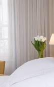 Туры в отель Hotel Saint Nicolas Туры в отель Hotel Saint Nicolas