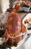 Туры в отель Hotel Restaurant & SPA Plaisir Туры в отель Hotel Restaurant & SPA Plaisir