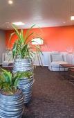 Туры в отель Novotel Poitiers Site du Futuroscope Туры в отель Novotel Poitiers Site du Futuroscope