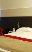 Туры в отель Mercure Niort Marais Poitevin Туры в отель Mercure Niort Marais Poitevin