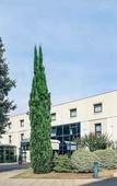 Туры в отель Mercure Niort Marais Poitevin Туры в отель Mercure Niort Marais Poitevin