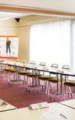 Туры в отель Hotel ibis Styles Niort Poitou Charentes Туры в отель Hotel ibis Styles Niort Poitou Charentes