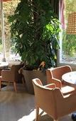 Туры в отель Adonis Sanary Grand Hotel des Bains Туры в отель Adonis Sanary Grand Hotel des Bains