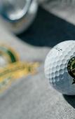 Туры в отель Golf Hotel de Valescure & Spa NUXE Туры в отель Golf Hotel de Valescure & Spa NUXE