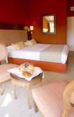Туры в отель Golf Hotel de Valescure & Spa NUXE Туры в отель Golf Hotel de Valescure & Spa NUXE
