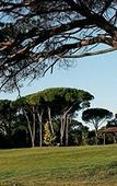 Туры в отель Golf Hotel de Valescure & Spa NUXE Туры в отель Golf Hotel de Valescure & Spa NUXE