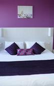 Туры в отель Comfort Hotel Orleans Olivet Туры в отель Comfort Hotel Orleans Olivet