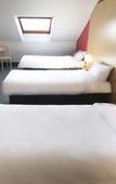 Туры в отель B&B HOTEL Tours Parc Expo St Avertin Туры в отель B&B HOTEL Tours Parc Expo St Avertin