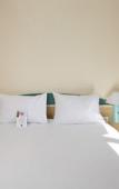 Туры в отель ibis Chartres Ouest Luce Туры в отель ibis Chartres Ouest Luce