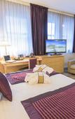 Туры в отель Mercure Tours Centre Gare et Congres Туры в отель Mercure Tours Centre Gare et Congres