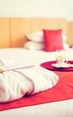 Туры в отель Mercure Tours Sud Туры в отель Mercure Tours Sud