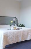 Туры в отель Adonis Aleria Hotel Atrachjata Туры в отель Adonis Aleria Hotel Atrachjata