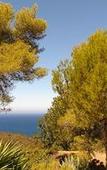Туры в отель Auberge Ferayola Туры в отель Auberge Ferayola