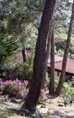 Туры в отель Auberge Ferayola Туры в отель Auberge Ferayola