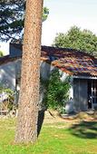 Туры в отель Hotel Kilina Туры в отель Hotel Kilina