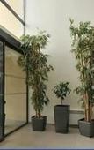 Туры в отель Sure Hotel by Best Western Reims Nord Туры в отель Sure Hotel by Best Western Reims Nord