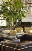 Туры в отель Westotel Nantes Atlantique Туры в отель Westotel Nantes Atlantique