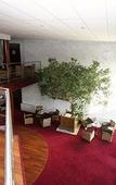 Туры в отель Ile du Gua Suites Туры в отель Ile du Gua Suites