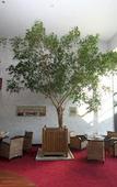 Туры в отель Ile du Gua Suites Туры в отель Ile du Gua Suites