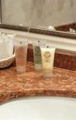 Туры в отель Henry II Hotel Туры в отель Henry II Hotel