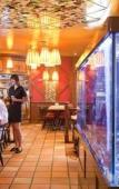 Туры в отель ibis Styles Le Puy-en-Velay Туры в отель ibis Styles Le Puy-en-Velay