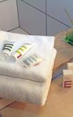 Туры в отель Mercure Albi Rives du Tarn Туры в отель Mercure Albi Rives du Tarn