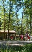 Туры в отель Terres de France - Hameaux des Lacs Туры в отель Terres de France - Hameaux des Lacs