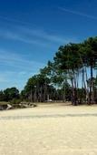 Туры в отель Le Domaine des Grands Lacs - Vacanceole Туры в отель Le Domaine des Grands Lacs - Vacanceole