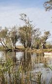 Туры в отель Le Domaine des Grands Lacs - Vacanceole Туры в отель Le Domaine des Grands Lacs - Vacanceole