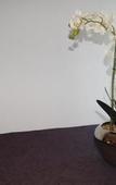 Туры в отель Brit Hotel Ker Lann Aeroport - Parc Expo Туры в отель Brit Hotel Ker Lann Aeroport - Parc Expo