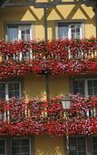 Туры в отель Best Western Plus Au Cheval Blanc Mulhouse Nord Туры в отель Best Western Plus Au Cheval Blanc Mulhouse Nord