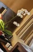 Туры в отель Best Western Plus Hotel des Francs Туры в отель Best Western Plus Hotel des Francs
