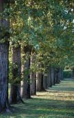 Туры в отель Hotel La Bastide Saint Martin Туры в отель Hotel La Bastide Saint Martin