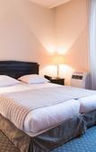 Туры в отель Hotel & SPA Napoleon Туры в отель Hotel & SPA Napoleon