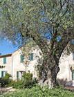 Туры в отель Hotel La Figuiere Туры в отель Hotel La Figuiere
