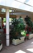 Туры в отель Hotel de l'Ile du Saussay Туры в отель Hotel de l'Ile du Saussay