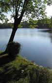 Туры в отель Hotel de l'Ile du Saussay Туры в отель Hotel de l'Ile du Saussay