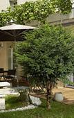 Туры в отель A la Villa Boucicaut Туры в отель A la Villa Boucicaut