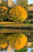 Туры в отель HOTEL LE MANOIR DE LA BARBACANE Туры в отель HOTEL LE MANOIR DE LA BARBACANE